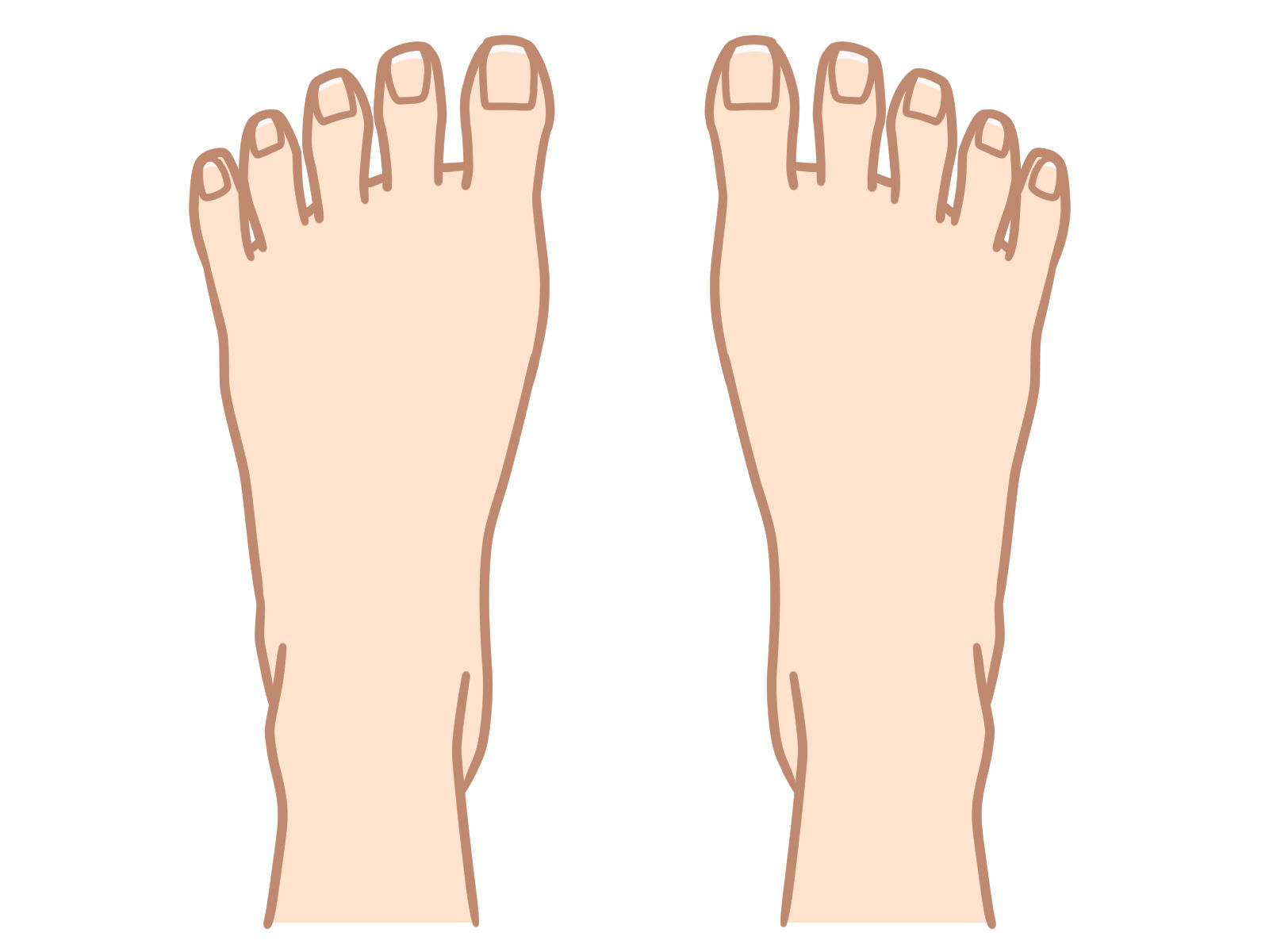 綺麗な両足のつめ